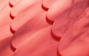 Tongue End plastic roof costs