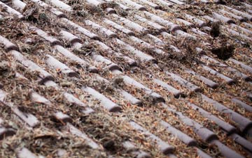 Tongue End roof cleaning companies