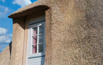 Tongue End thatch roof disadvantages