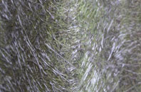 Tongue End fibreglass roof work